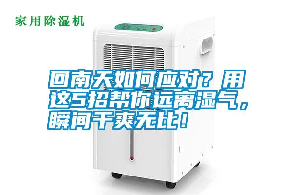 回南天如何應(yīng)對？用這5招幫你遠離濕氣，瞬間干爽無比！