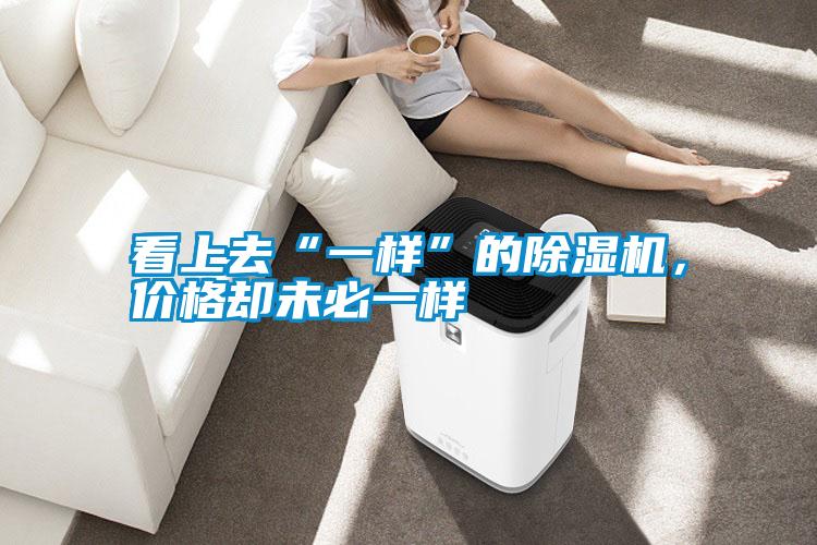看上去“一樣”的除濕機，價格卻未必一樣