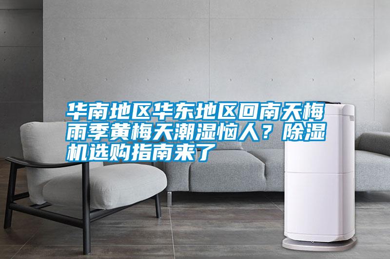 華南地區華東地區回南天梅雨季黃梅天潮濕惱人？除濕機選購指南來了
