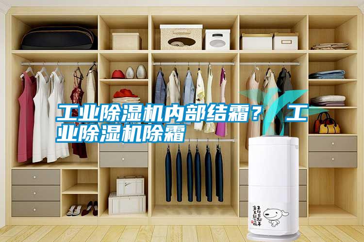工業(yè)除濕機內(nèi)部結霜？ 工業(yè)除濕機除霜