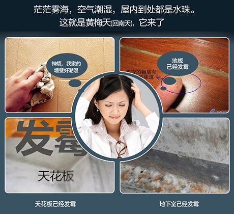 地下室中央新風除濕機，地下室通風與除濕解決方案