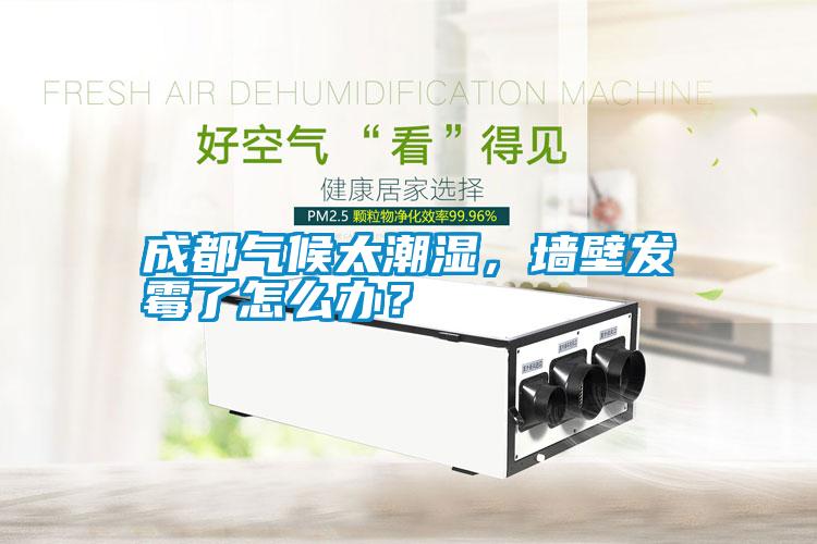 成都氣候太潮濕，墻壁發(fā)霉了怎么辦？