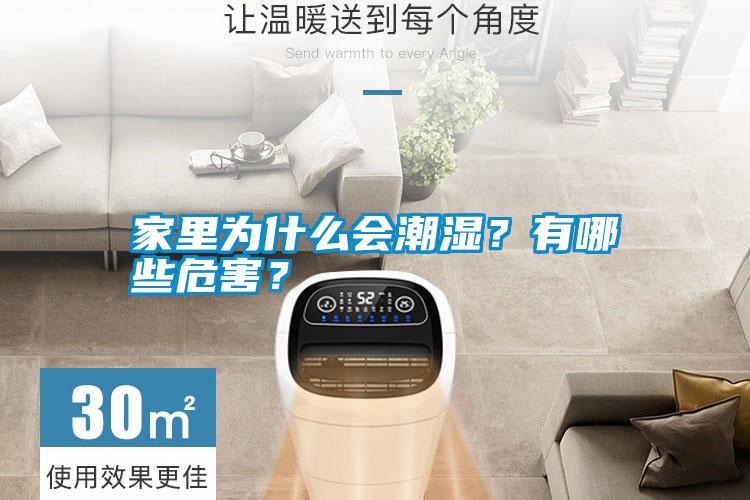 家里為什么會(huì)潮濕？有哪些危害？