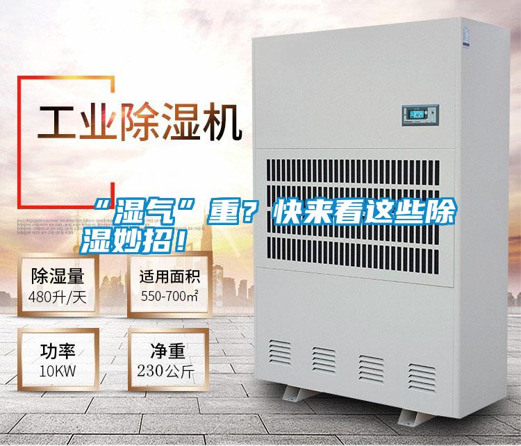 “濕氣”重？快來看這些除濕妙招！