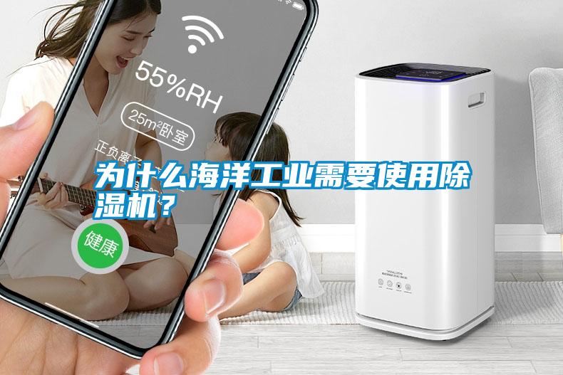 為什么海洋工業(yè)需要使用除濕機？