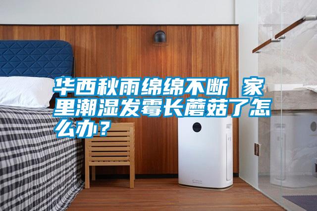 華西秋雨綿綿不斷 家里潮濕發(fā)霉長蘑菇了怎么辦？