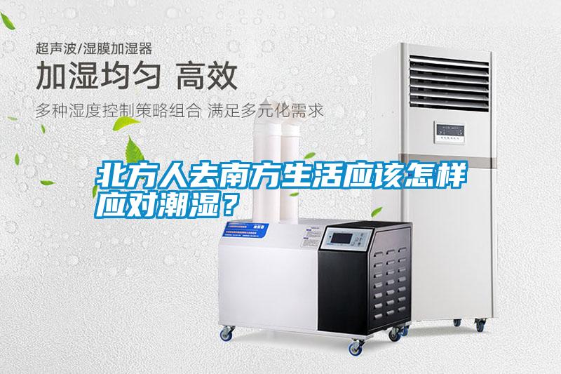 北方人去南方生活應該怎樣應對潮濕？