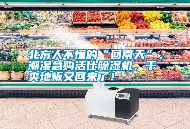 北方人不懂的“回南天”，潮濕急購(gòu)活仕除濕機(jī)，干爽地板又回來(lái)了！