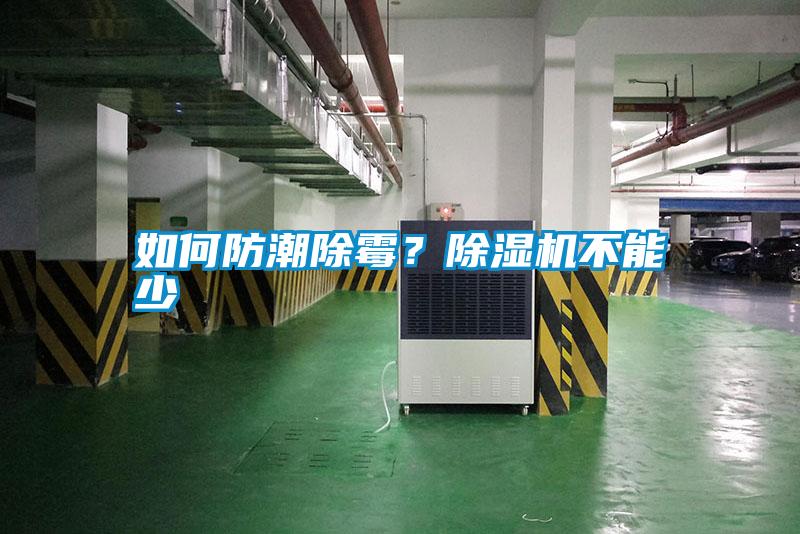 如何防潮除霉？除濕機(jī)不能少