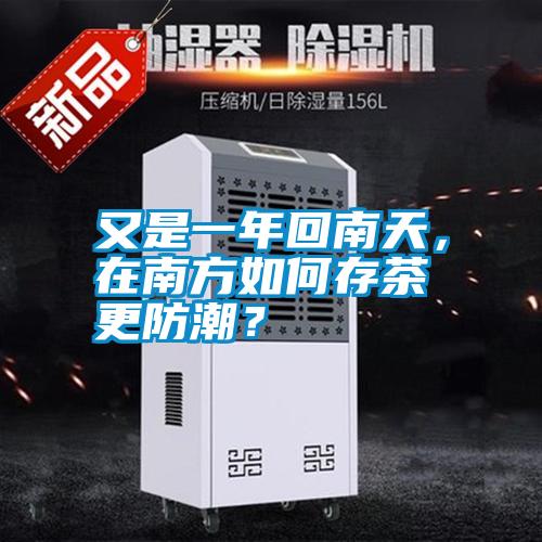又是一年回南天，在南方如何存茶更防潮？