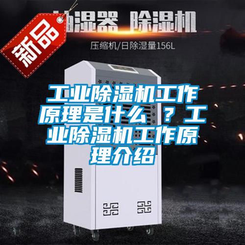工業(yè)除濕機工作原理是什么 ？工業(yè)除濕機工作原理介紹