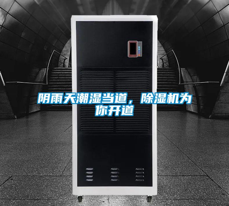 陰雨天潮濕當道，除濕機為你開道