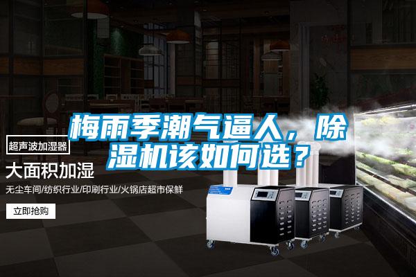 梅雨季潮氣逼人，除濕機(jī)該如何選？