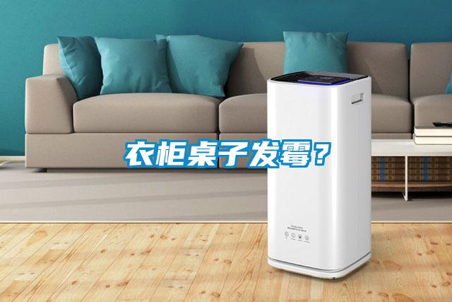 衣柜桌子發霉？