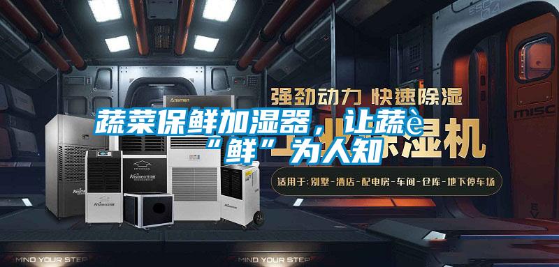 蔬菜保鮮加濕器，讓蔬菜“鮮”為人知