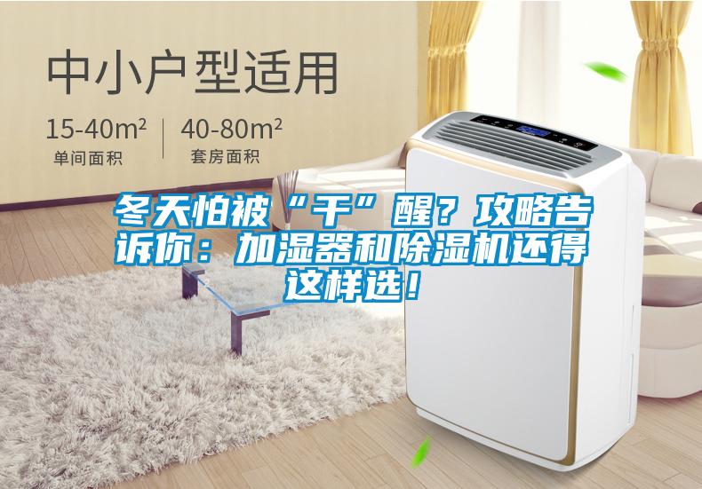 冬天怕被“干”醒？攻略告訴你：加濕器和除濕機(jī)還得這樣選！