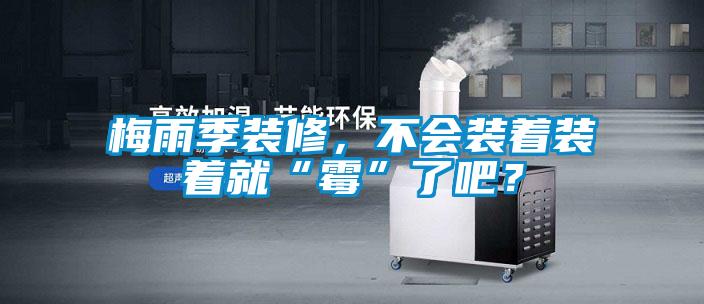 梅雨季裝修，不會裝著裝著就“霉”了吧？