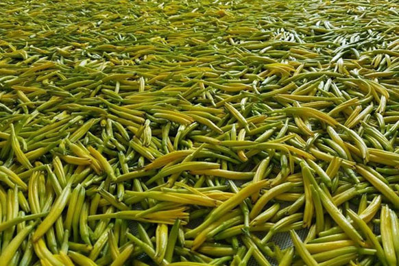 無硫金針菜烘干如何保持品相？不發黑？_除濕機廠家