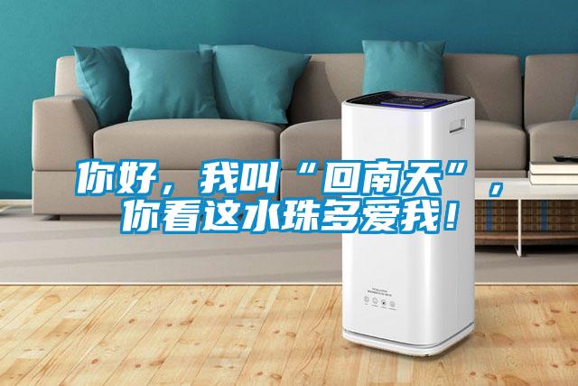 你好，我叫“回南天”，你看這水珠多愛我！