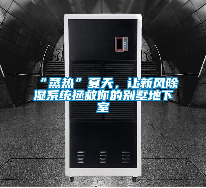 “蒸熱”夏天，讓新風除濕系統拯救你的別墅地下室