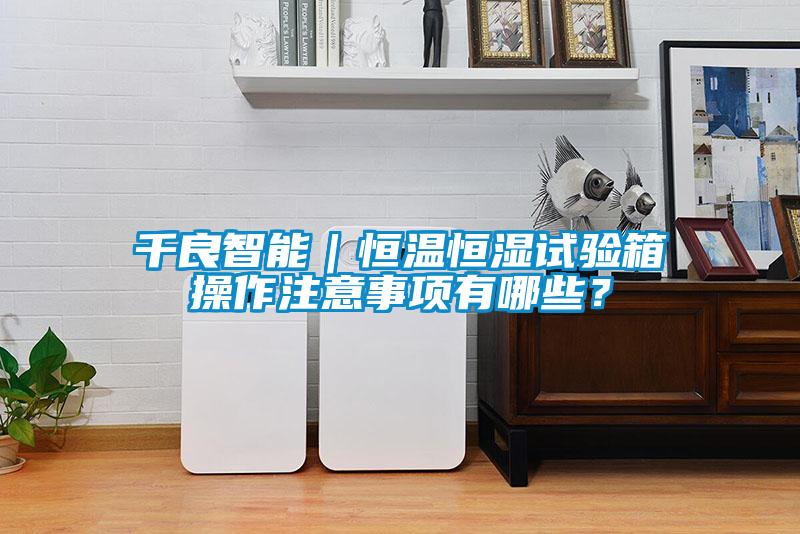 千良智能｜恒溫恒濕試驗箱操作注意事項有哪些？