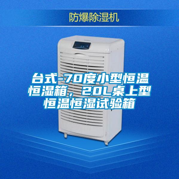 臺式-70度小型恒溫恒濕箱，20L桌上型恒溫恒濕試驗箱