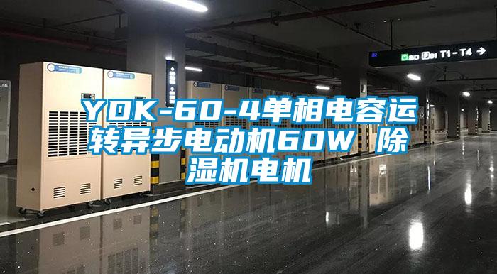 YDK-60-4單相電容運轉異步電動機60W 除濕機電機