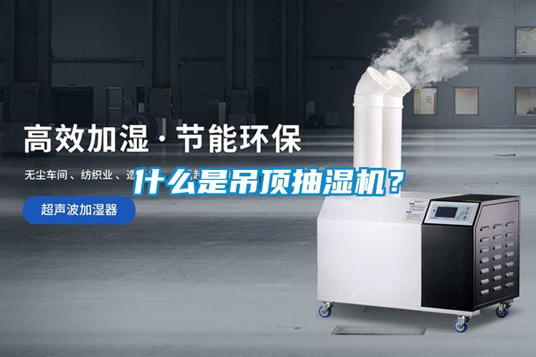 什么是吊頂抽濕機？