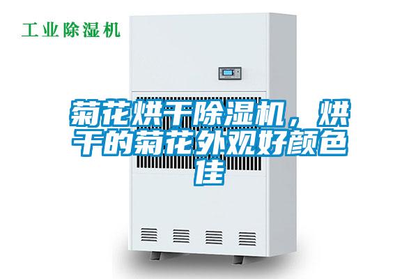 菊花烘干除濕機，烘干的菊花外觀好顏色佳