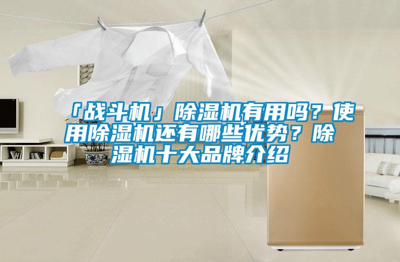 「戰(zhàn)斗機(jī)」除濕機(jī)有用嗎？使用除濕機(jī)還有哪些優(yōu)勢？除濕機(jī)十大品牌介紹