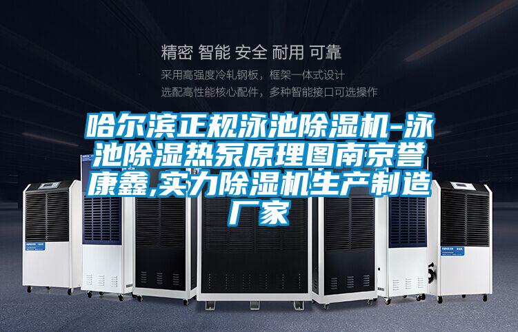 哈爾濱正規泳池除濕機-泳池除濕熱泵原理圖南京譽康鑫,實力除濕機生產制造廠家