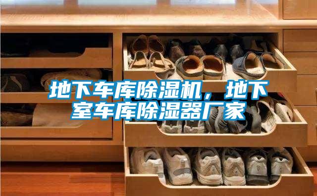 地下車庫除濕機(jī)，地下室車庫除濕器廠家