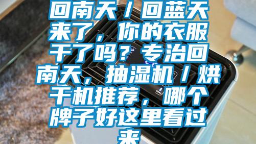 回南天／回藍天來了，你的衣服干了嗎？專治回南天，抽濕機／烘干機推薦，哪個牌子好這里看過來