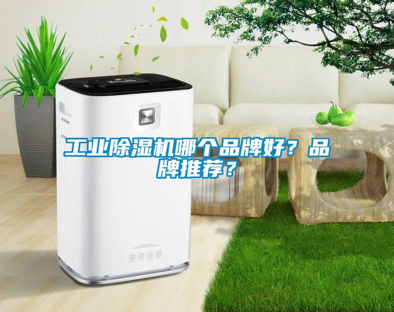 工業除濕機哪個品牌好？品牌推薦？