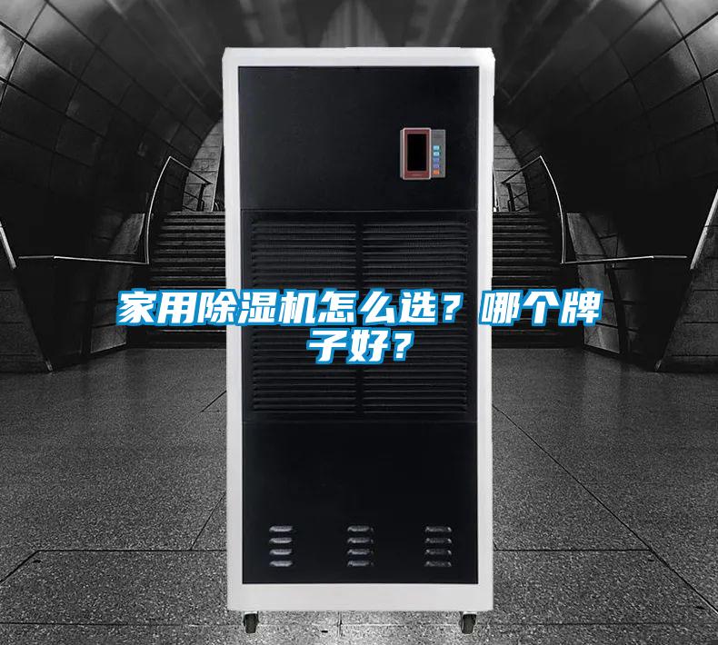 家用除濕機(jī)怎么選？哪個(gè)牌子好？