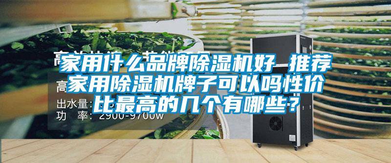 家用什么品牌除濕機好 推薦家用除濕機牌子可以嗎性價比最高的幾個有哪些？