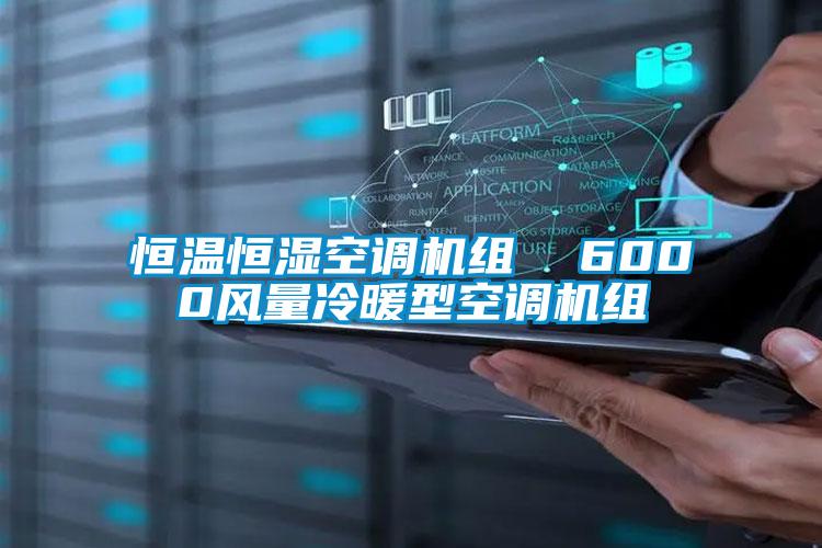 恒溫恒濕空調(diào)機組  6000風量冷暖型空調(diào)機組