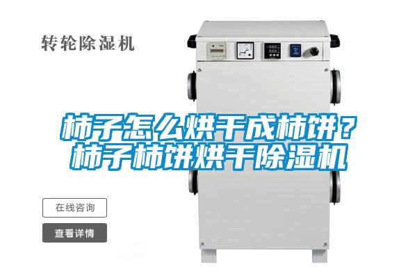 柿子怎么烘干成柿餅?柿子柿餅烘干除濕機