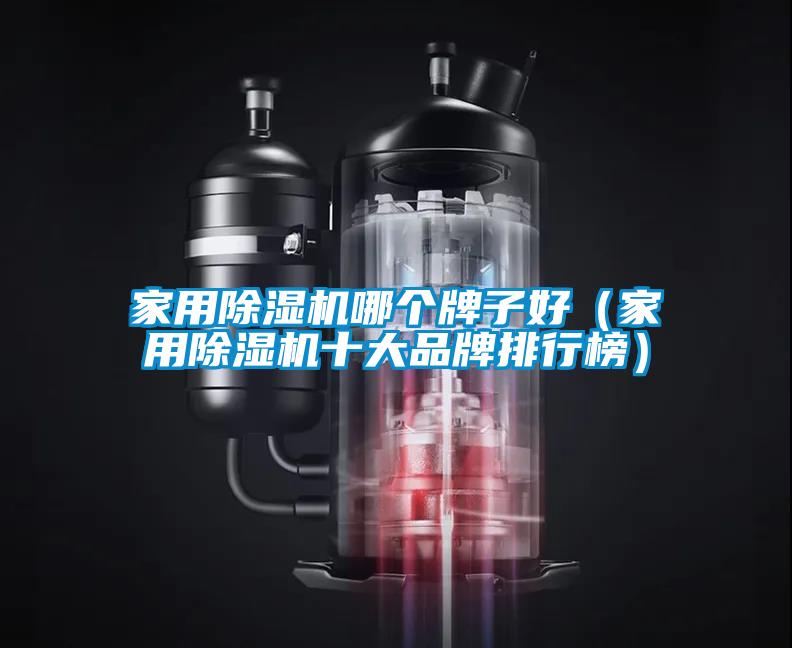 家用除濕機(jī)哪個牌子好（家用除濕機(jī)十大品牌排行榜）