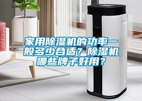 家用除濕機的功率一般多少合適？除濕機哪些牌子好用？