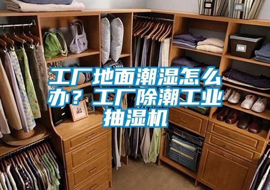 工廠地面潮濕怎么辦？工廠除潮工業抽濕機