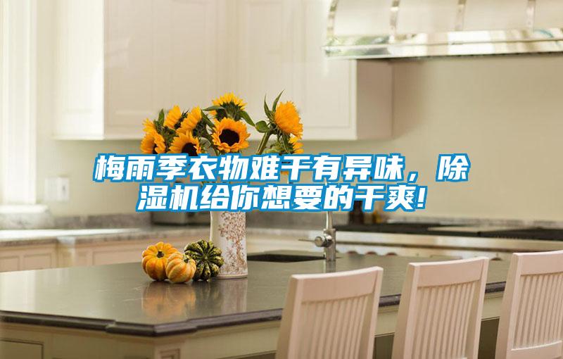 梅雨季衣物難干有異味，除濕機給你想要的干爽!