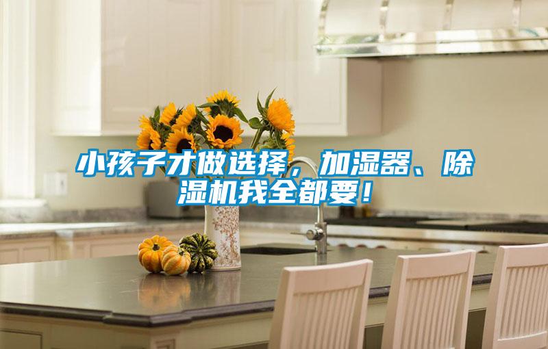 小孩子才做選擇，加濕器、除濕機我全都要！