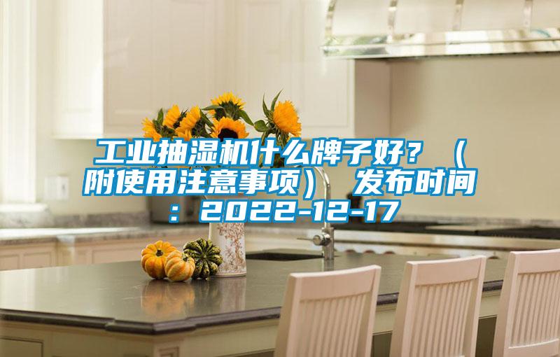工業(yè)抽濕機(jī)什么牌子好？（附使用注意事項(xiàng)） 發(fā)布時(shí)間：2022-12-17