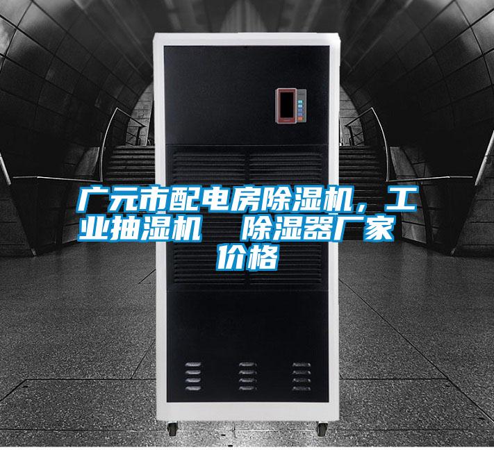 廣元市配電房除濕機，工業抽濕機  除濕器廠家 價格