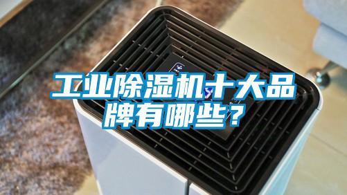 工業除濕機十大品牌有哪些？