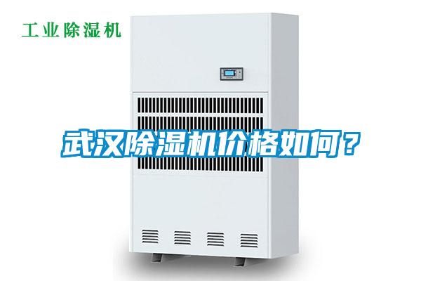 武漢除濕機價格如何？