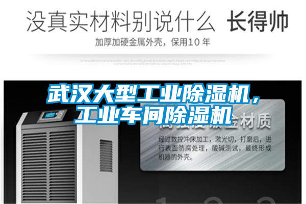 武漢大型工業除濕機，工業車間除濕機