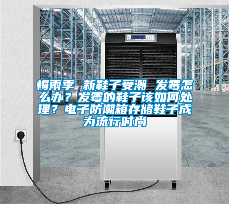 梅雨季 新鞋子受潮 發(fā)霉怎么辦？發(fā)霉的鞋子該如何處理？電子防潮箱存儲(chǔ)鞋子成為流行時(shí)尚