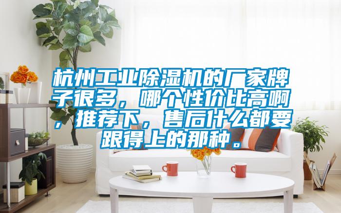 杭州工業除濕機的廠家牌子很多，哪個性價比高啊，推薦下，售后什么都要跟得上的那種。